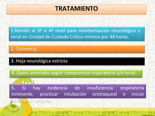 1.Remitir al 3º ó 4º nivel para monitorización neurológica y
renal en Unidad de Cuidado Crítico mínimo por 48 horas.
2. Oximetría.
3. Hoja neurológica estricta
4. Gases arteriales según compromiso respiratorio y/o renal.
insuficiencia respiratoria
orotraqueal e iniciar
5. Si hay evidencia de
inminente, practicar intubación
ventilación asistida.
TRATAMIENTO
 