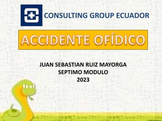 JUAN SEBASTIAN RUIZ MAYORGA
SEPTIMO MODULO
2023
CONSULTING GROUP ECUADOR
 