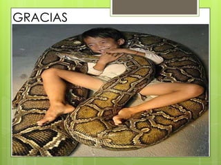 GRACIAS
 