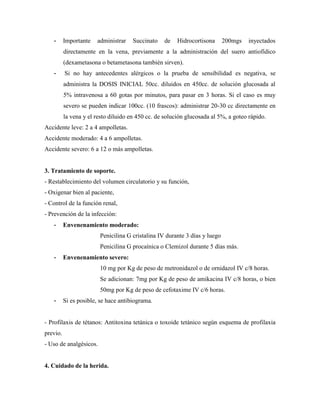 -      Importante   administrar    Succinato   de    Hidrocortisona      200mgs   inyectados
          directamente en la vena, previamente a la administración del suero antiofídico
          (dexametasona o betametasona también sirven).
   -      Si no hay antecedentes alérgicos o la prueba de sensibilidad es negativa, se
          administra la DOSIS INICIAL 50cc. diluidos en 450cc. de solución glucosada al
          5% intravenosa a 60 gotas por minutos, para pasar en 3 horas. Si el caso es muy
          severo se pueden indicar 100cc. (10 frascos): administrar 20-30 cc directamente en
          la vena y el resto diluido en 450 cc. de solución glucosada al 5%, a goteo rápido.
Accidente leve: 2 a 4 ampolletas.
Accidente moderado: 4 a 6 ampolletas.
Accidente severo: 6 a 12 o más ampolletas.


3. Tratamiento de soporte.
- Restablecimiento del volumen circulatorio y su función,
- Oxigenar bien al paciente,
- Control de la función renal,
- Prevención de la infección:
   -      Envenenamiento moderado:
                        Penicilina G cristalina IV durante 3 días y luego
                        Penicilina G procaínica o Clemizol durante 5 días más.
   -      Envenenamiento severo:
                        10 mg por Kg de peso de metronidazol o de ornidazol IV c/8 horas.
                        Se adicionan: 7mg por Kg de peso de amikacina IV c/8 horas, o bien
                        50mg por Kg de peso de cefotaxime IV c/6 horas.
   -      Si es posible, se hace antibiograma.


- Profilaxis de tétanos: Antitoxina tetánica o toxoide tetánico según esquema de profilaxia
previo.
- Uso de analgésicos.


4. Cuidado de la herida.
 