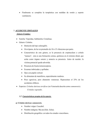    Finalmente se completa la terapéutica con medidas de sostén y soporte
          ventilatorio.




3. ACCIDENTE CROTALICO
   Género Crotalus:

   Familia: Viperidae, Subfamilia: Crotalinae.
   Género: Crótalus.
             Dentición del tipo solenoglifo.
             Ovovíparas, da luz en promedio de 10 a 15 viboreznos por parto.
             Característico de este género, es la presencia de crepitaculum o crótalo
              “maraca”, esta es una formación cornea, quitinosa en el extremo distal, que
              actúa como órgano sonoro y anuncia su presencia. Antes de morder, la
              víctima potencial queda advertida.
             Presencia de foseta termoreceptora.
             Escamas imbricadas y quilladas.
             Ojos con pupila vertical.
             Se alimentan de mamíferos, especialmente roedores.
             Poco agresivas, pero altamente venenosas. Representan el 25% de los
              accidentes ofídicos.
   Especies: Crótalus durissus terrificus (en Venezuela descrita como cumanensis).
                  Crótalus vegrandis.


      3.2 Características propias de la especie.


  a) Crótalus durissus cumanensis.
             Nombre vulgar: Cascabel.
             Nombre indígena: Ma-ara (Edo. Zulia).
             Distribución geográfica: en todos los estados venezolanos.
 