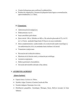    Creatin-fosfoquinasa para confirmar la rabdomiólisis.
        Pruebas de coagulación y recuento de plaquetas hasta lograr su normalización
         (aproximadamente 2 a 3 días).




    3.8 Tratamiento.

        Administración de analgésicos.
        Hidrocortisona via I.V.
        Suero antiofídico polivalente:
        Dosis inicial: 100 cc. Diluidos en 400 cc. De solución glucosada al 5% vía I.V.
         en 1 a 2 horas. pudiendo llegar hasta 10 frascos en casos moderados.
        Dosis complementarias: condicionadas a la evolución del cuadro neurológico y
         con administración c/6 h, en cantidades hasta similares a la inicial.
        Tratamiento coadyuvante:

        Prevención de la infección tetánica.
        Monitoreo de la función renal y evaluación por nefrólogo.
        Asistencia respiratoria.
        Diálisis peritoneal o hemodiálisis.
        Elevación del miembro afectado si hay edema.



4. ACCIDENTE LACHESICO

  Género Lachesis:

   Especie única: Lachesis m. Mutus.
   Nombre vulgar: Cuaima o Cuaima Concha de Piña.
   Nombre indígena: Pararaipú, Juva-vitú.
   Distribucion geográfica: Anzoátegui, Monagas, Sucre, Bolívar (excepto la Gran
     Sabana).
 