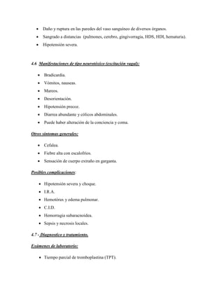      Daño y ruptura en las paredes del vaso sanguíneo de diversos órganos.
       Sangrado a distancias (pulmones, cerebro, gingivorragia, HDS, HDI, hematuria).
       Hipotensión severa.



4.6 Manifestaciones de tipo neurotóxico (excitación vagal):

    Bradicardia.
    Vómitos, nauseas.
    Mareos.
    Desorientación.
    Hipotensión precoz.
    Diarrea abundante y cólicos abdominales.
    Puede haber alteración de la conciencia y coma.

Otros síntomas generales:

    Cefalea.
    Fiebre alta con escalofríos.
    Sensación de cuerpo extraño en garganta.

Posibles complicaciones:

       Hipotensión severa y choque.
       I.R.A.
       Hemotórax y edema pulmonar.
       C.I.D.
       Hemorragia subaracnoidea.
       Sepsis y necrosis locales.

4.7 - Diagnostico y tratamiento.

Exámenes de laboratorio:

       Tiempo parcial de tromboplastina (TPT).
 