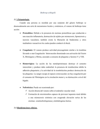 Bothrosp schlegelii


1.3 Fisiopatología.
          Cuando una persona es mordida por una serpiente del género bothrops se
desencadenarán una serie de mecanismos locales y sistémicos, el veneno de bothrops tiene
acción:
             Proteolítica: Debido a la presencia de enzimas proteolíticas que conducirán a
              una reacción inflamatoria, destrucción de tejidos por mionecrosis, liponecrosis y
              necrosis vasculares; también existe la liberación de bradicinina y otros
              mediadores vasoactivos los cuales pueden conducir al shock.


             Coagulante: El veneno produce actividad procoagulante similar a la trombina
              llevando a una Coagulación Intravascular diseminada con activación del Factor
              X, fibrinógeno y fibrina, asociado a consumo de plaquetas y factores V y VIII.


             Hemorrágica: La acción de las metaloproteinasas destruye el cemento
              intercelular y produce daño endotelial, la presencia de trombocitina inhibe la
              adhesión plaquetaria y la actividad de la trombolectina produce destrucción de
              las plaquetas. La sangre escapa al espacio extravascular; no hay coagulación por
              el consumo de Fibrinógeno en la circulación menor y su destrucción a nivel del
              hígado.


             Nefrotóxica: Puede ser ocasionada por:
                  Acción directa del veneno sobre el endotelio vascular renal.
                  Formación de microtrombos capaces de provocar isquemia renal debido
                     a una mionecrosis sistémica con exagerada elevación seríca de las
                     enzimas creatinofosfoquinasa y deshidrogensa láctica.


1.4 Manifestaciones clínicas.
 