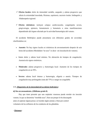  Efectos locales: dolor de intensidad variable, sangrado y edema progresivo que
        afecta la extremidad inoculada, flictenas, equimosis, necrosis tisular, linfangeítis y
        lifadenopatía regional.


    Efectos sistémicos: incluyen colapso cardiovascular, coagulopatía severa,
       gingivorragia, epistaxis, hematemesis y hematuria u otras manifestaciones
       dependiendo del órgano afectado por la actividad hemorrágica del veneno.


   El accidente Bothrópico puede presentarse con diferentes grados de severidad,
clasificándose en:


      Ausente: No hay signos locales ni sistémicos de envenenamiento después de seis
       horas del accidente (Mordedura “en seco” es decir sin inoculación de veneno).


      Leve: dolor y edema local mínimo. No alteración de tiempos de coagulación.
       Ausencia de signos sistémicos.


      Moderado: edema progresivo y hemorragia local. Aumento de los tiempos de
       coagulación en un 50%.


      Severo: edema local intenso y hemorragia, oliguria o anuria. Tiempos de
       coagulación muy prolongados (más del 75%) o sangre no coagulable


1.5.- Diagnóstico de la intensidad del accidente bothrópico:

a) Sin envenenamiento. (Ofidismo grado 0)
       Hay que tener presente que una serpiente venenosa puede morder sin inocular
veneno, lo que se denomina “mordida seca”, bien sea porque lo ha descargado
antes al capturar alguna presa o al morder algún animal, o bien por control
voluntario de los esfínteres de los conductos de las glándulas.


- Síntomas:
 