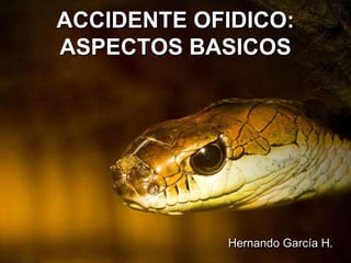 ACCIDENTE OFIDICO:
ASPECTOS BASICOS




            Hernando García H.
 