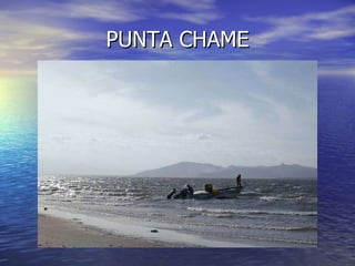 PUNTA CHAME