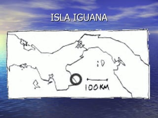 ISLA IGUANA