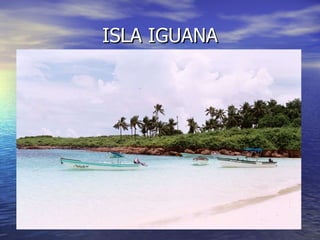 ISLA IGUANA