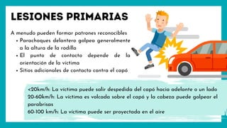 Lesiones primarias
Parachoques delantero golpea generalmente
a la altura de la rodilla
El punto de contacto depende de la
orientación de la víctima
Sitios adicionales de contacto contra el capó
A menudo pueden formar patrones reconocibles
<20km/h: La víctima puede salir despedida del capó hacia adelante o un lado
20-60km/h: La víctima es volcada sobre el capó y la cabeza puede golpear el
parabrisas
60-100 km/h: La víctima puede ser proyectada en el aire
 