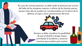En caso de víctimas peatones, se debe medir la distancia por encima
del talón de los márgenes superior e inferior de las lesiones graves,
porque estas alturas pueden ser correlacionadas con la altura de la
defensa, el capó u otras características del auto
Siempre se debe considerar la posibilidad
de que el alcohol o drogas hayan
contribuido al accidente y conservar
muestras para análisis post mortem
 