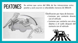 Peatones
Se estima que cerca del 90% de las interacciones entre
peatón y auto ocurren a velocidades menores de 50km/h
Lesiones por contacto directo
con el vehículo
Lesiones por contacto con otros
objetos o el suelo después del
contacto con el vehículo
Clasificación por tipos de lesiones:
 