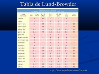 Tabla de Lund-BrowderTabla de Lund-Browder
http://www.sagediagram.com/espanolhttp://www.sagediagram.com/espanol
 
