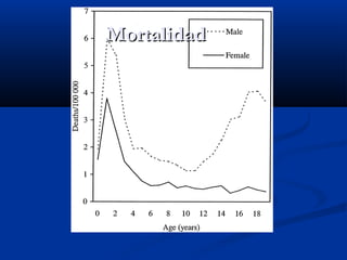 MortalidadMortalidad
 