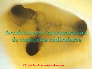 1
CD. Jorge Luis Armando Alamo Palomino
 