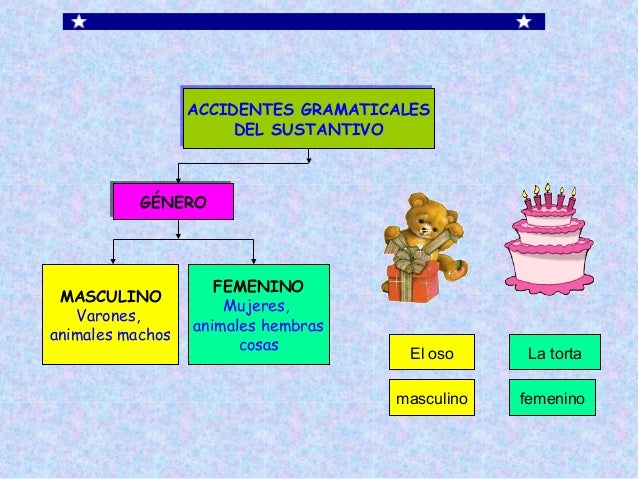 Accidentes gramaticales 5º prim.