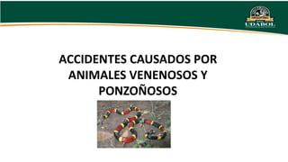 ACCIDENTES CAUSADOS POR
ANIMALES VENENOSOS Y
PONZOÑOSOS
 