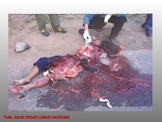 TUM. JULIO CESAR LEMUS SANCHEZ 