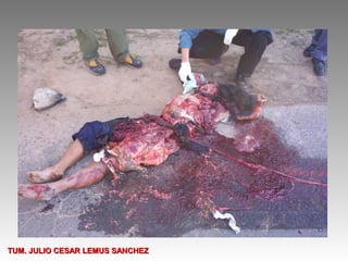 TUM. JULIO CESAR LEMUS SANCHEZ
 