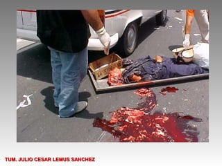 TUM. JULIO CESAR LEMUS SANCHEZ
 