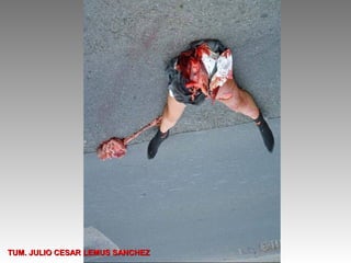 TUM. JULIO CESAR LEMUS SANCHEZ
 