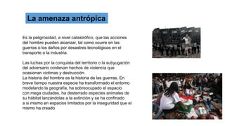 Es la peligrosidad, a nivel catastrófico, que las acciones
del hombre pueden alcanzar, tal como ocurre en las
guerras o los daños por desastres tecnológicos en el
transporte o la industria.
Las luchas por la conquista del territorio o la subyugación
del adversario conllevan hechos de violencia que
ocasionan victimas y destrucción.
La historia del hombre es la historia de las guerras. En
breve tiempo nuestra especie ha transformado el entorno
modelando la geografía, ha sobreocupado el espacio
con mega ciudades, ha desterrado especies animales de
su hábitat lanzándolas a la extinción y se ha confinado
a si mismo en espacios limitados por la inseguridad que el
mismo ha creado
La amenaza antrópica
 