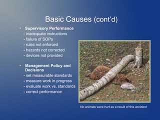 Basic Causes (cont’d)
●

●

Supervisory Performance
- inadequate instructions
- failure of SOPs
- rules not enforced
- hazards not corrected
- devices not provided
Management Policy and
Decisions
- set measurable standards
- measure work in progress
- evaluate work vs. standards
- correct performance

No animals were hurt as a result of this accident

 