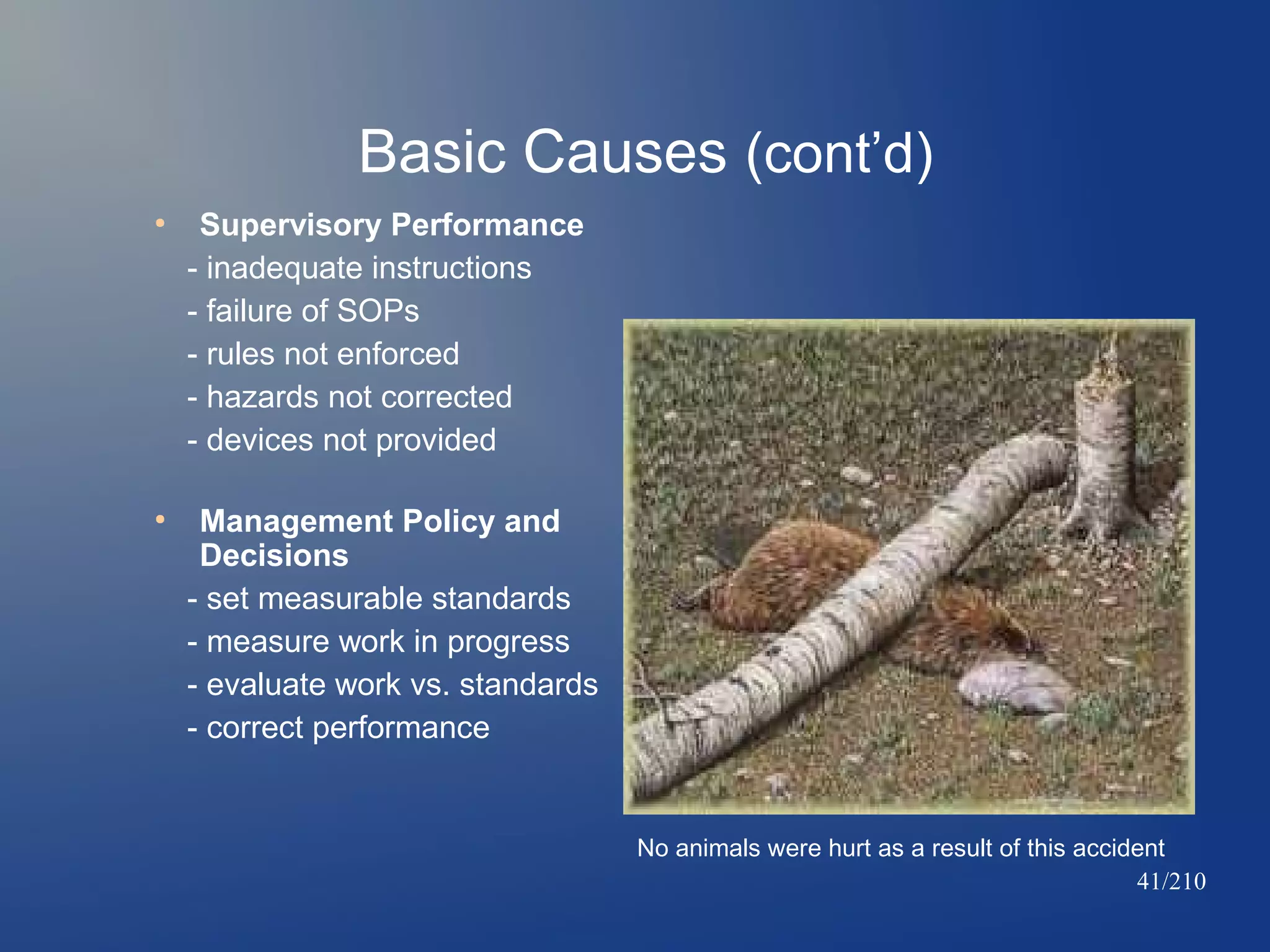 Basic Causes (cont’d)
●

●

Supervisory Performance
- inadequate instructions
- failure of SOPs
- rules not enforced
- hazards not corrected
- devices not provided
Management Policy and
Decisions
- set measurable standards
- measure work in progress
- evaluate work vs. standards
- correct performance

No animals were hurt as a result of this accident
41/210

 