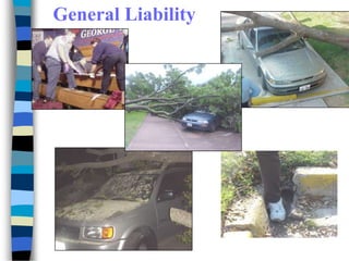 General Liability
 