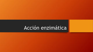 Acción enzimática
 