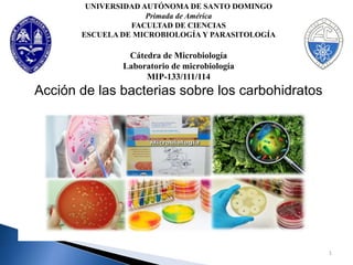 UNIVERSIDAD AUTÓNOMA DE SANTO DOMINGO
Primada de América
FACULTAD DE CIENCIAS
ESCUELA DE MICROBIOLOGÍA Y PARASITOLOGÍA
Cátedra de Microbiología
Laboratorio de microbiología
MIP-133/111/114
Acción de las bacterias sobre los carbohidratos
1
 