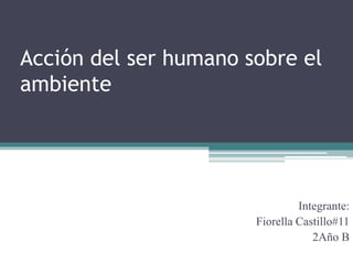 Acción del ser humano sobre el
ambiente
Integrante:
Fiorella Castillo#11
2Año B
 