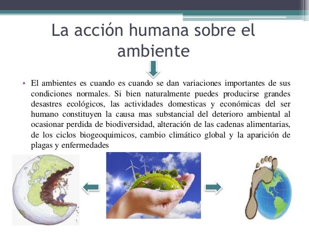 Acción del ser humano sobre el ambiente (1)