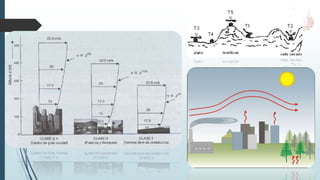 Acción geológica del viento