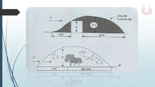 Acción geológica del viento