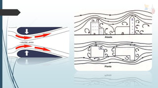 Acción geológica del viento