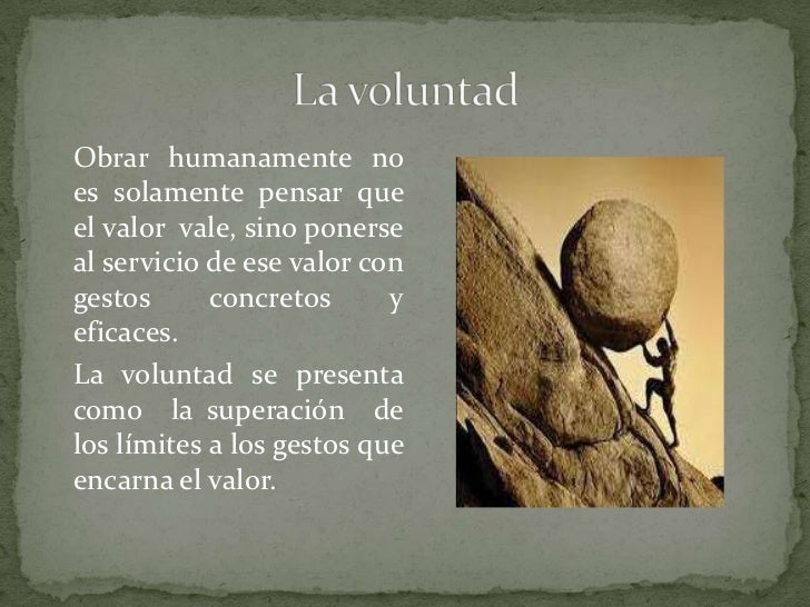 Acción humana y voluntad