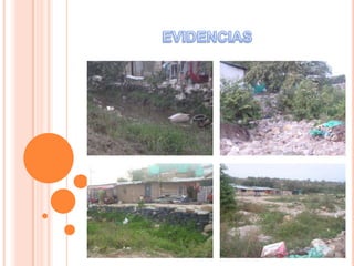 Acción  virtual  socialmente  responsable