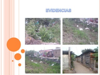 Acción  virtual  socialmente  responsable