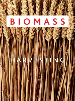 30
B I O M A S S
H A R V E S T I N G
30-35_ACCIONA_Como_Funciona3_ENG.indd 30 24/7/19 20:57
 