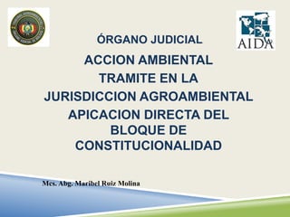 ÓRGANO JUDICIAL
ACCION AMBIENTAL
TRAMITE EN LA
JURISDICCION AGROAMBIENTAL
APICACION DIRECTA DEL
BLOQUE DE
CONSTITUCIONALIDAD
Mcs. Abg. Maribel Ruiz Molina
 