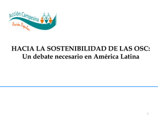 HACIA LA SOSTENIBILIDAD DE LAS OSC:
Un debate necesario en América Latina

1

 