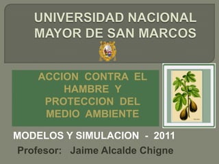 UNIVERSIDAD NACIONAL MAYOR DE SAN MARCOS ACCION  CONTRA  EL  HAMBRE  Y  PROTECCION  DEL  MEDIO  AMBIENTE MODELOS Y SIMULACION  -  2011 Profesor:   Jaime Alcalde Chigne 