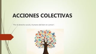 ACCIONES COLECTIVAS
“Por el derecho social y humano del bien en común”.
 