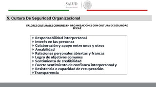 









5. Cultura De Seguridad Organizacional
 