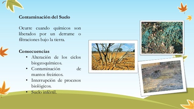 Acciones humanas que alteran el ecosistema - Vanessa Alejandra Gérman…