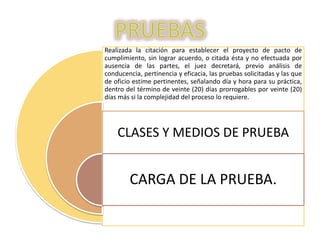 Realizada la citación para establecer el proyecto de pacto de
cumplimiento, sin lograr acuerdo, o citada ésta y no efectuada por
ausencia de las partes, el juez decretará, previo análisis de
conducencia, pertinencia y eficacia, las pruebas solicitadas y las que
de oficio estime pertinentes, señalando día y hora para su práctica,
dentro del término de veinte (20) días prorrogables por veinte (20)
días más si la complejidad del proceso lo requiere.




    CLASES Y MEDIOS DE PRUEBA


        CARGA DE LA PRUEBA.
 