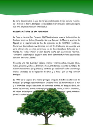5
La planta desalinizadora el agua de mar se concibió desde el inicio con una inversión
de 4 millones de dólares. El impactosocial excede la inversión que se realizó y seespera
que otras empresas repliquen esta iniciativa.
RESERVA NATURAL DE SAN FERNANDO
La Reserva Nacional San Fernando (RNSF) está ubicada en parte de los distritos de
Santiago (provincia de Ica), Changuillo, Nazca y San Juan de Marcona (provincia de
Nazca) en el departamento de Ica. Su extensión es de 154,716.37 hectáreas.
Comprende dos sectores muy diferentes entre sí. En el lado norte se encuentra una
zona relativamente accesible, conformada por las desembocaduras de los ríos Ica y
Grande, los cuales colorean el gran desierto iqueño con sus bosques ribereños.
También se ubican algunas playas de arena donde se forman humedales estacionales
cercanos a la Punta Caballas.
Concentra una rica diversidad biológica marina y marino-costera, incluidos lobos,
nutrias, pingüinos y cetáceos. Del mismo modo, en la zona se encuentra fauna típica de
la sierra representada por guanacos y cóndores que descienden hasta casi la franja
marina –alentados por la vegetación de lomas y la fauna– por un frágil corredor
biológico.
La RNSF es la segunda área natural protegida (después de la Reserva Nacional de
Paracas) que protege áreas marítimas en una zona donde los afloramientos en el mar
y la diversidad biológica resultante, las corrientes marinas, los bosques relicto, las
lomas, los arrecifes y demás accidentes geográficos, los vientos, la belleza paisajística,
los valores arqueológicos y el aislamiento, se concentran, originando lugares prioritarios
para la conservación
 