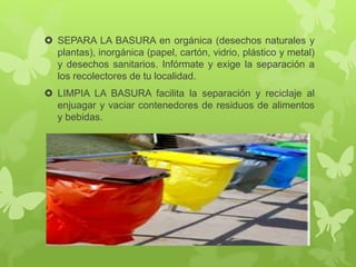  SEPARA LA BASURA en orgánica (desechos naturales y
plantas), inorgánica (papel, cartón, vidrio, plástico y metal)
y desechos sanitarios. Infórmate y exige la separación a
los recolectores de tu localidad.
 LIMPIA LA BASURA facilita la separación y reciclaje al
enjuagar y vaciar contenedores de residuos de alimentos
y bebidas.
 