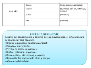 Cabeza                          (cejas, pestañas, párpados)
                   Cuerpo                          (pulmones, corazón, estómago,
   5 A 6 AÑOS                                      tobillos)
                   Manos                           (Muñecas)

                   Pies                            (Tobillos)




                          CUERPO Y MOVIMIENTO
A partir del conocimiento y dominio de sus movimientos, el niño afianzará
su confianza y será capaz de:
•Regular la posición y equilibrio corporal.
•Coordinar movimientos
•Percibir posiciones espaciales
•Realizar relaciones espaciales
•Representar el eje corporal y sus giros
•Desarrollar las nociones de ritmo y tiempo
•Afianzar su lateralidad
 